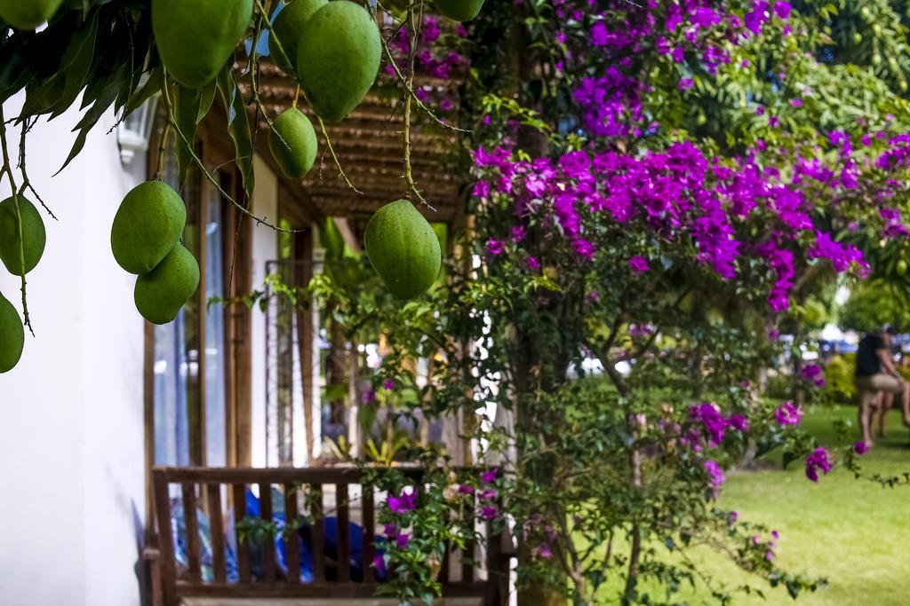 La Em Casa - Guest House بارا غراندي المظهر الخارجي الصورة